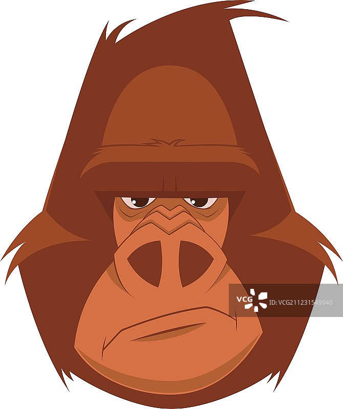 趣味猴子图片素材