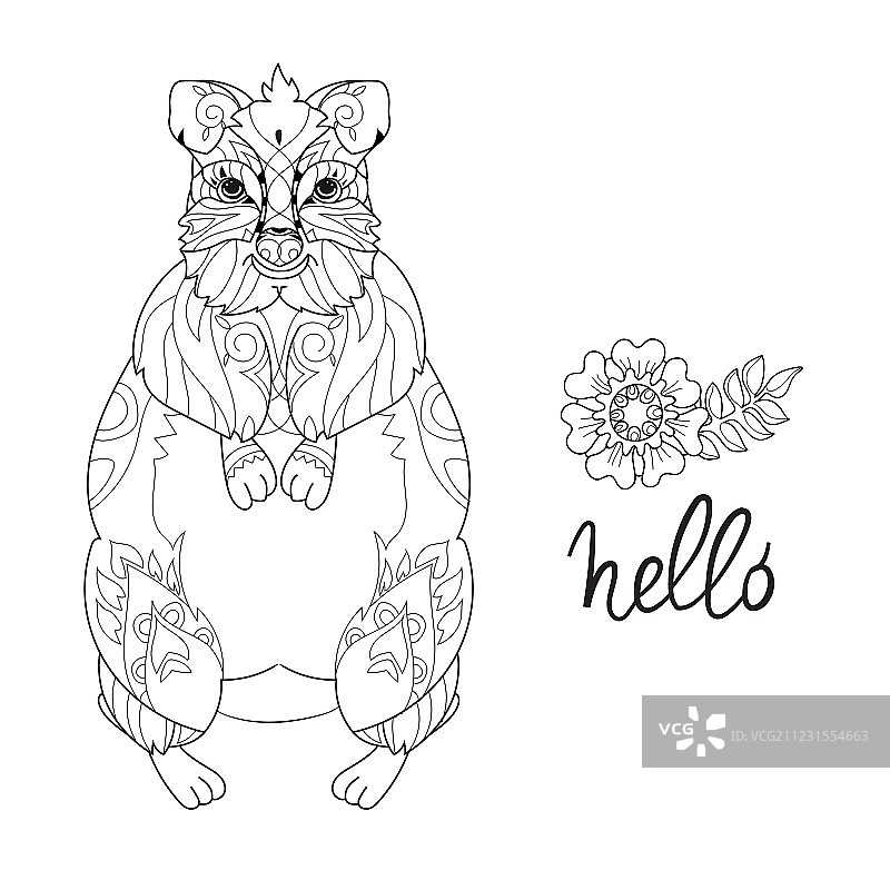 手绘动物短尾矮袋鼠涂鸦图片素材