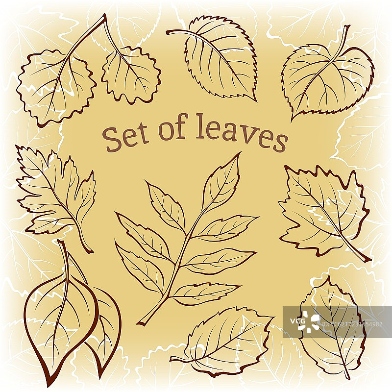 植物叶子象形图集图片素材