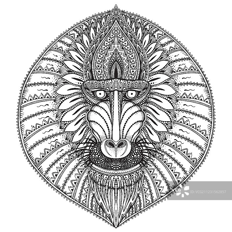 手绘华丽的狒狒脸图片素材