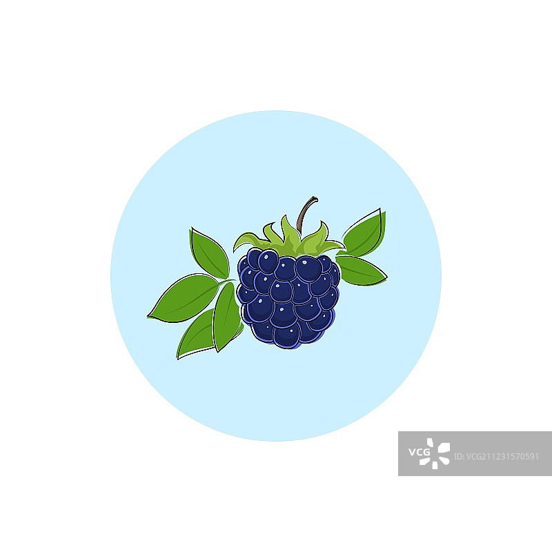 彩色黑莓图标图片素材