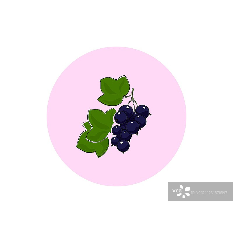 彩色黑醋栗图标图片素材