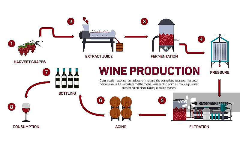葡萄酒酿造工艺图片素材