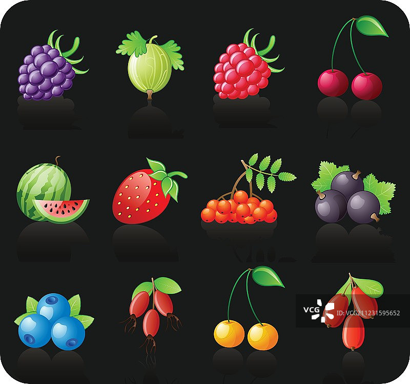 黑色浆果图标合集图片素材