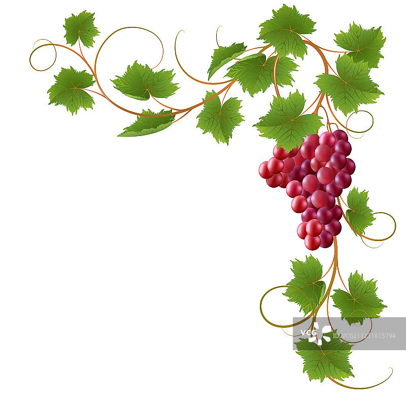 他来了图片素材