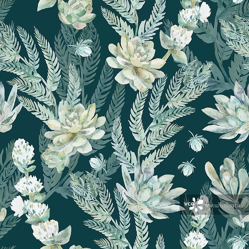 多肉植物蕨类植物的无缝花卉图案图片素材