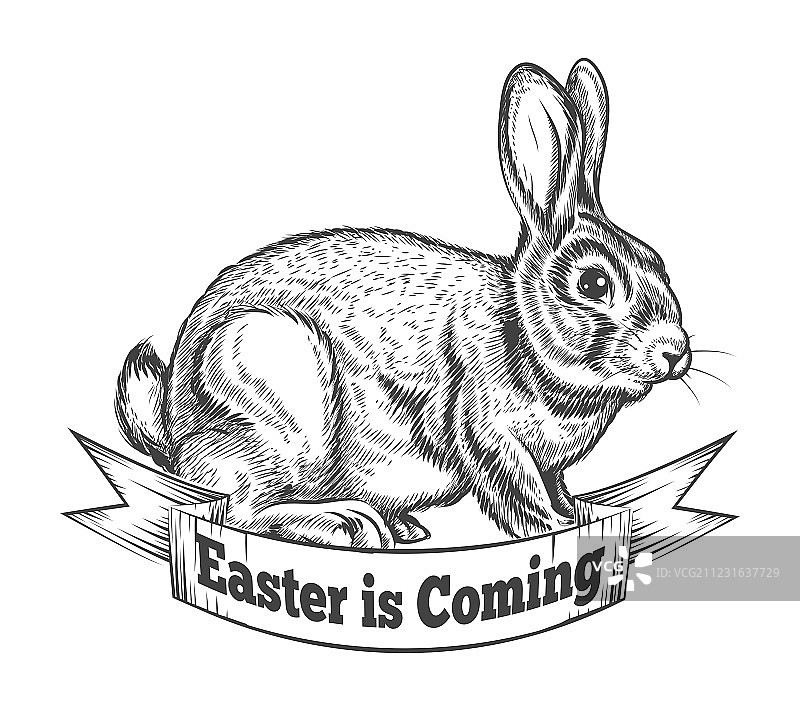手绘复活节兔子图片素材