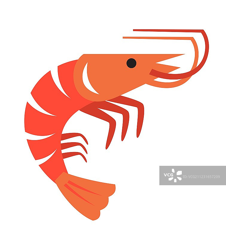 彩色对虾图片素材