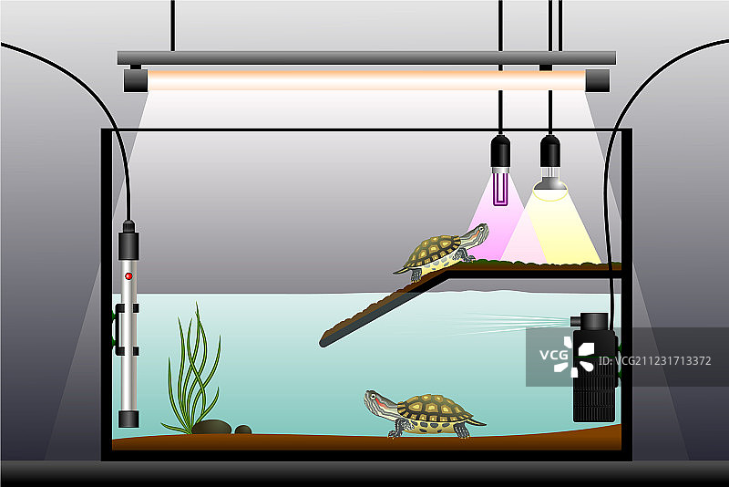 水陆缸图片素材