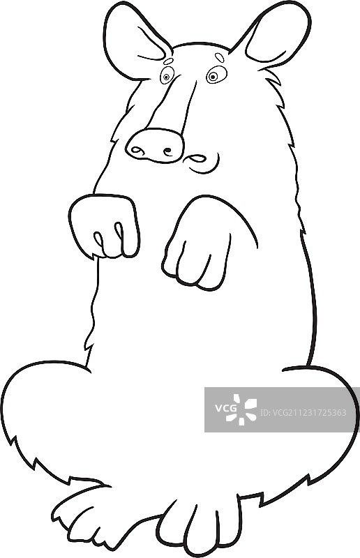 用于着色书的美洲黑熊图片素材