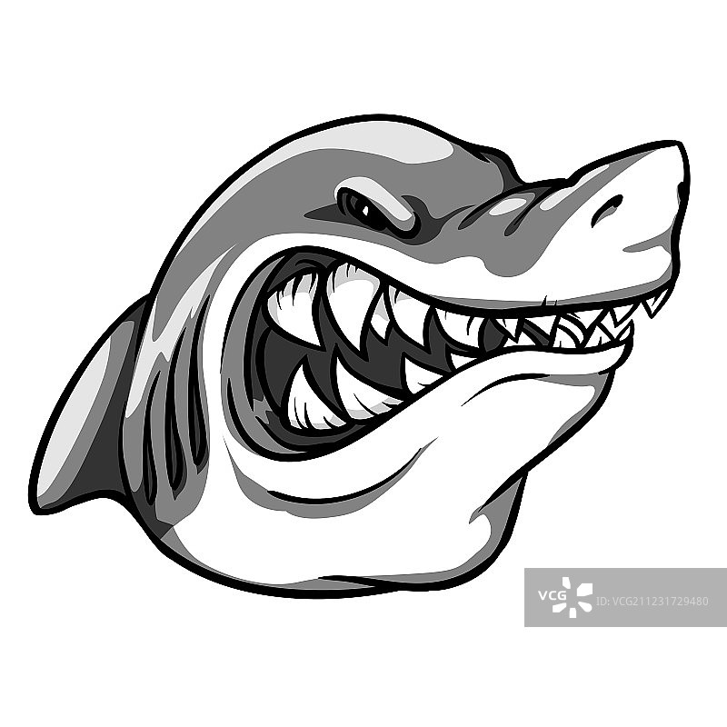 鲨鱼队吉祥物标签设计图片素材