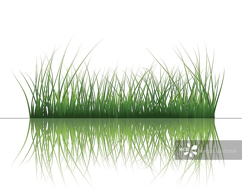 水面上的草图片素材