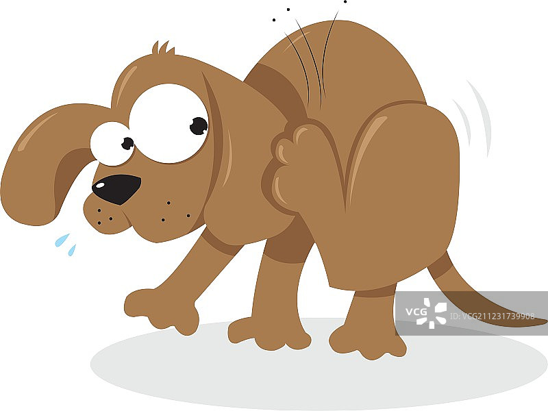 小狗和跳蚤图片素材