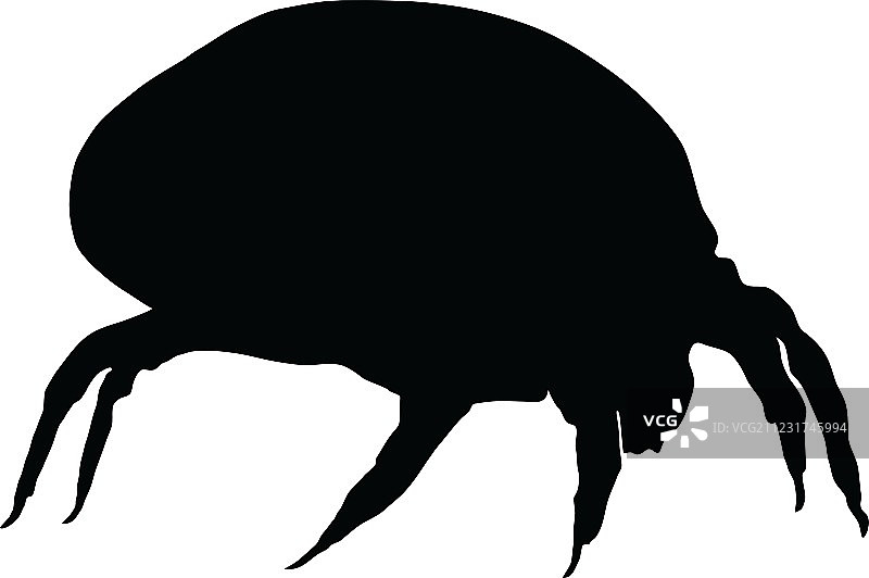 屋尘螨图片素材