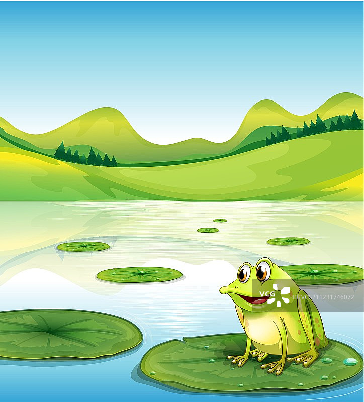 水百合上的青蛙图片素材