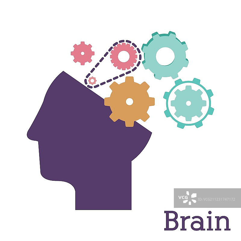 大脑的设计图片素材