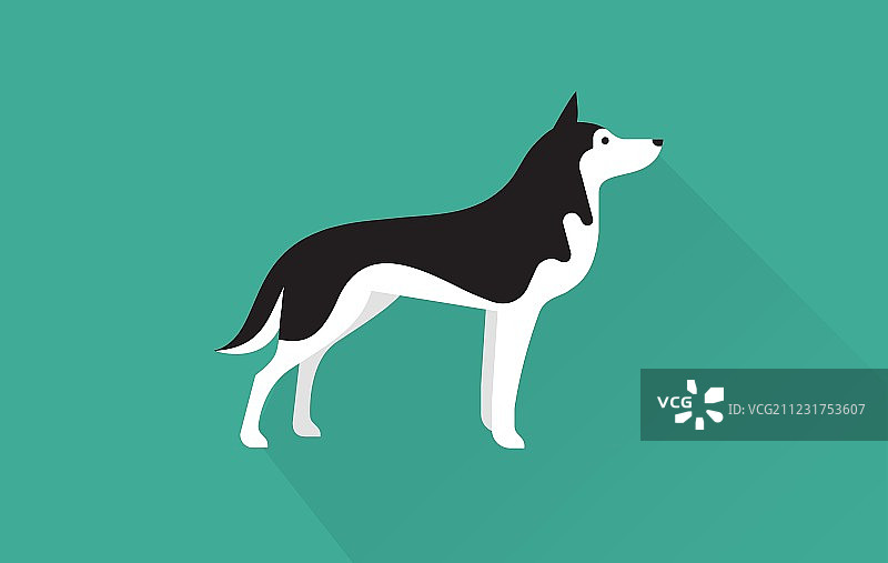 西伯利亚哈士奇图标图片素材