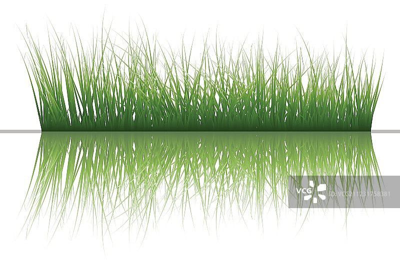 水面上的草图片素材