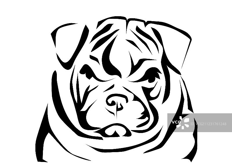 英国牛头犬图片素材