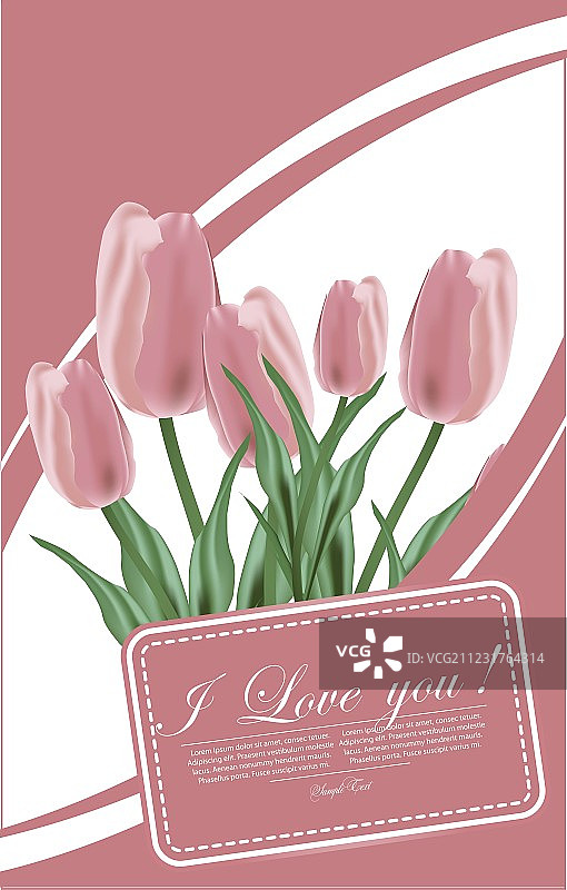 郁金香花卉图片素材