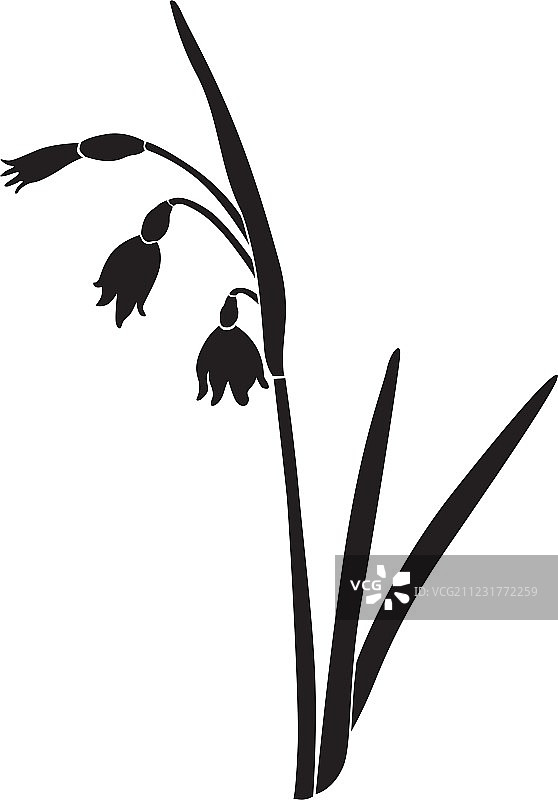 春天的花图片素材