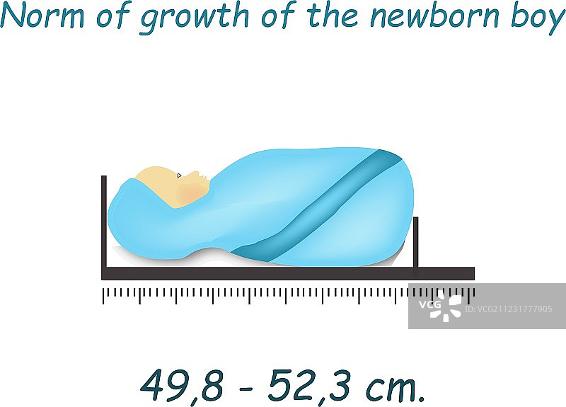 新生男婴的标准身高信息图图片素材