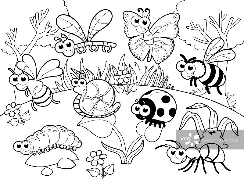 黑白背景下的蜗牛图片素材