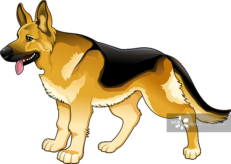 德国牧羊犬图片素材