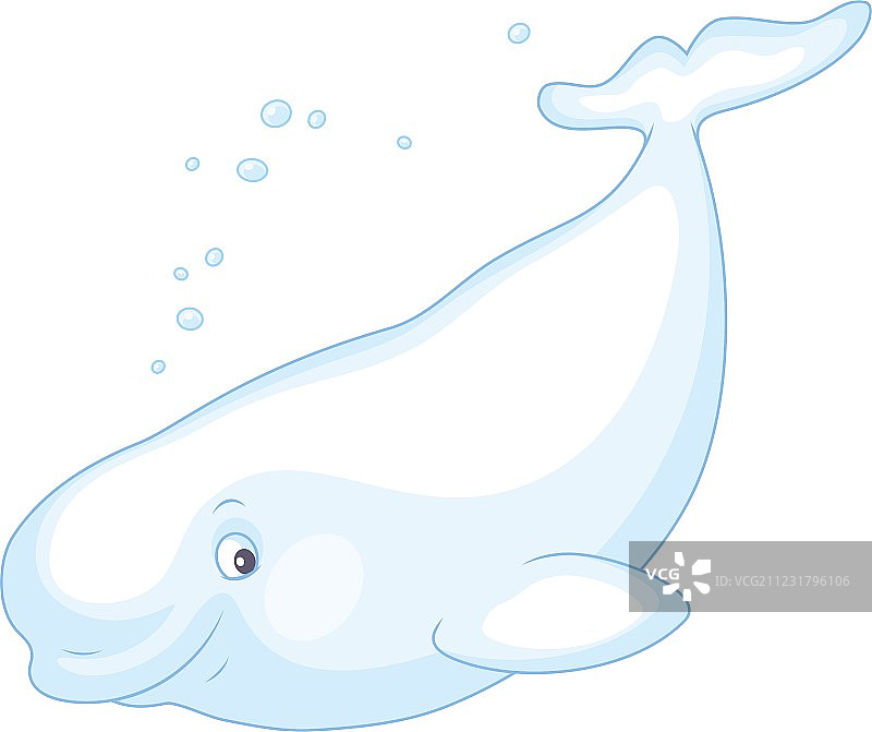 游泳的白鲸图片素材