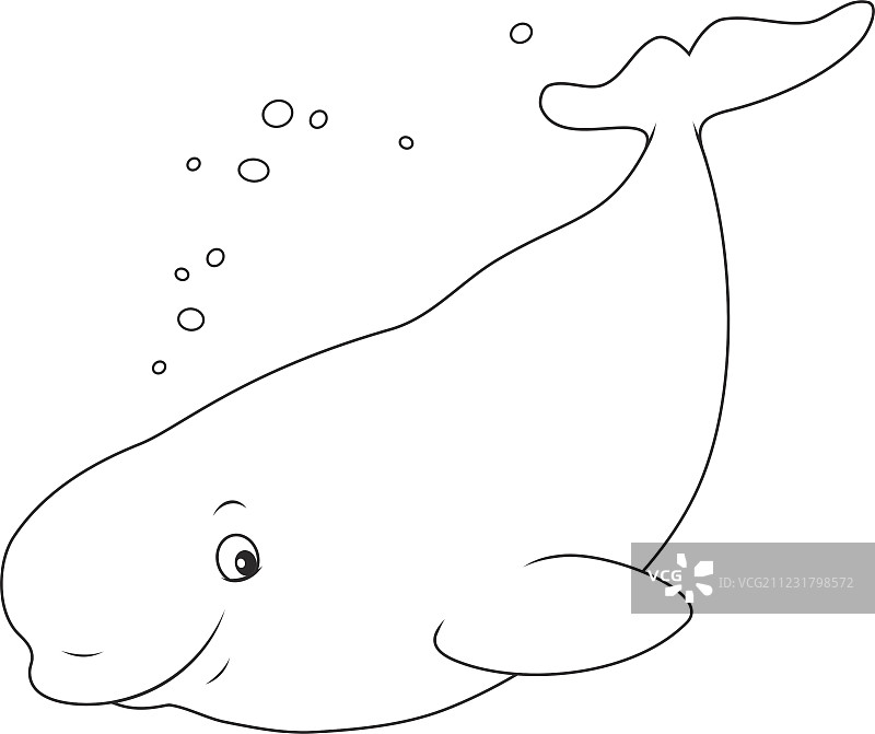 游泳的白鲸图片素材