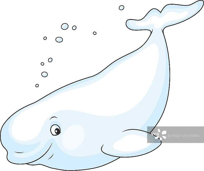 游泳的白鲸图片素材
