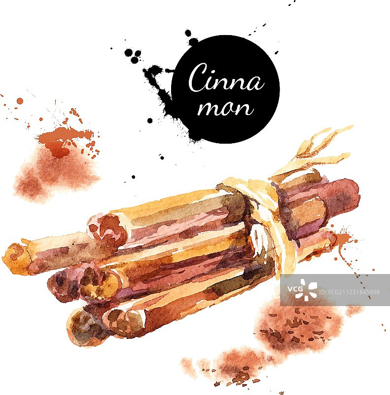 厨房香草和香料banner图片素材