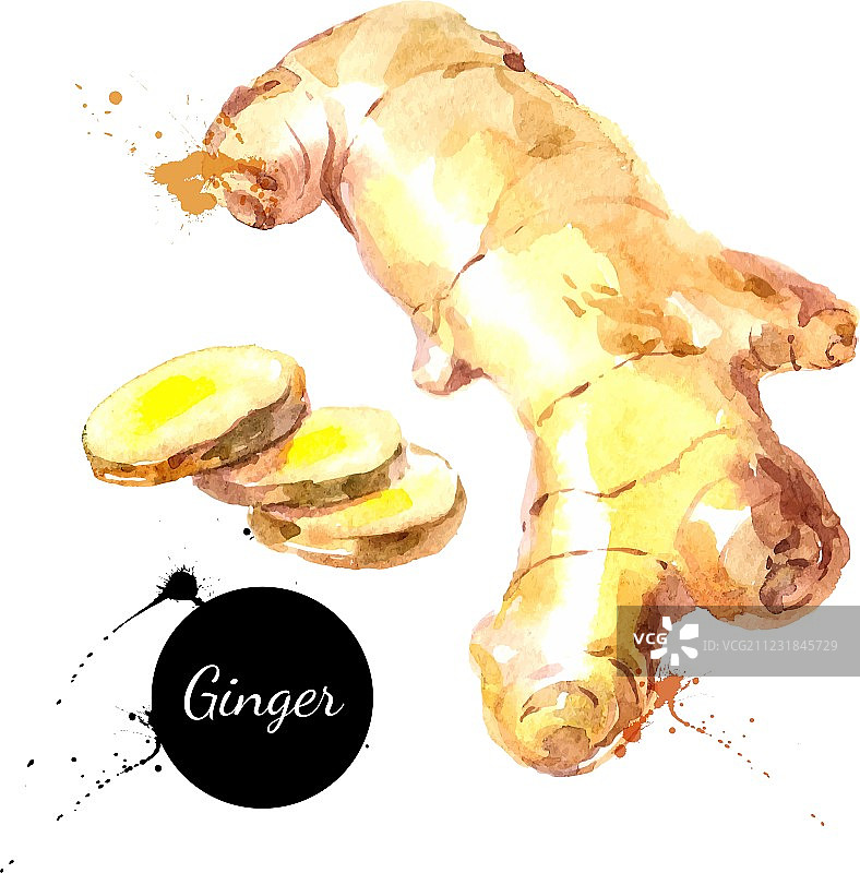 厨房香草和香料banner图片素材