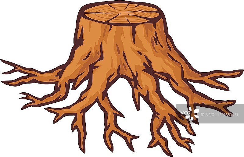 带树根的老树桩图片素材