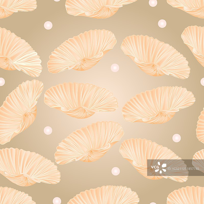 贝壳和珍珠无缝纹理图片素材