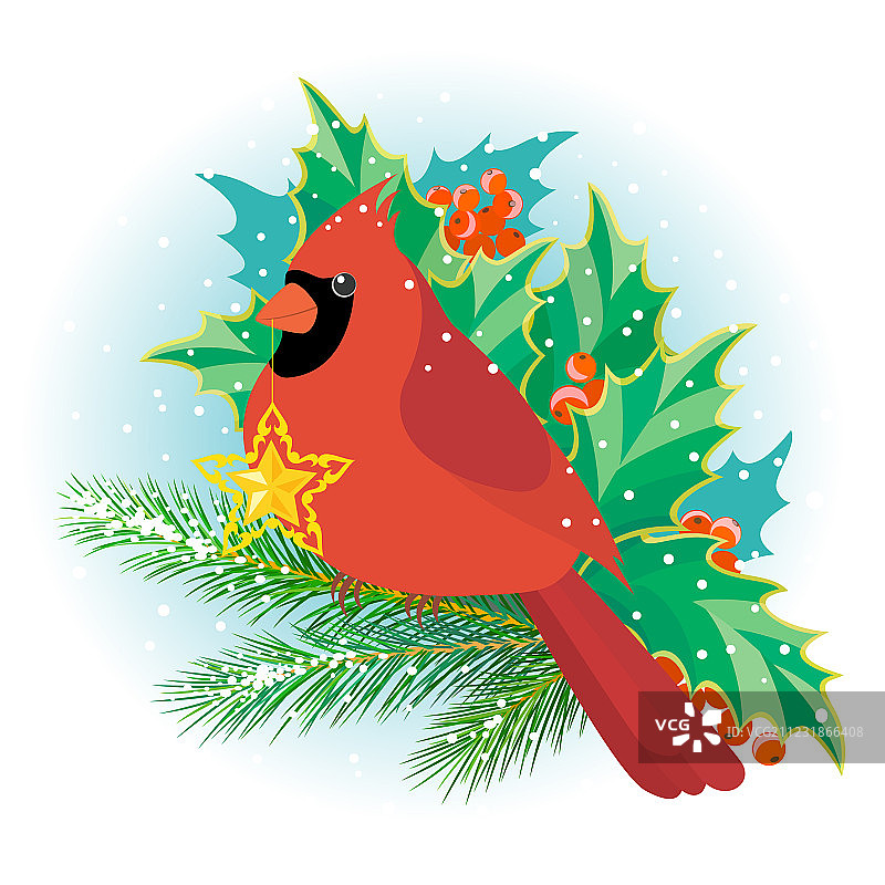 圣诞红雀图片素材