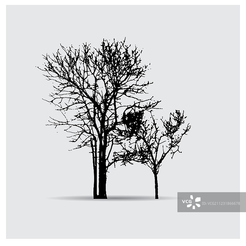 树的轮廓图片素材