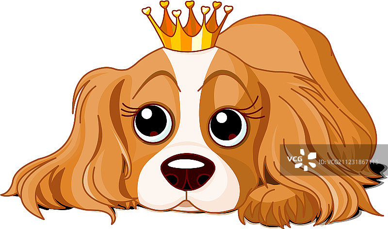 尊贵的狗图片素材