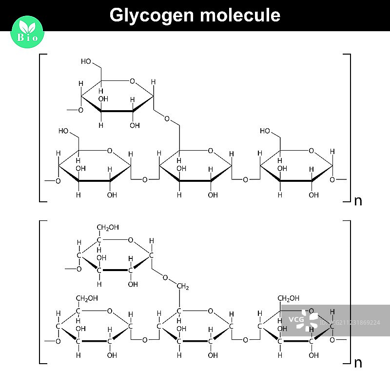 糖原分子图片素材