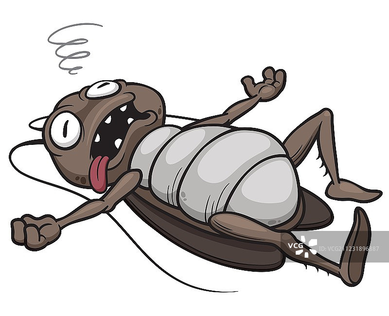 死蟑螂图片素材