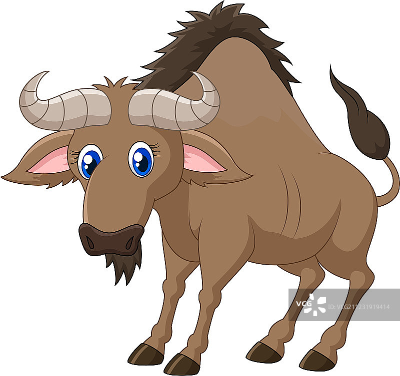 羚羊的一种图片素材