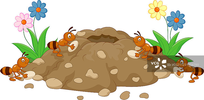 森林土地上的蚁丘图片素材