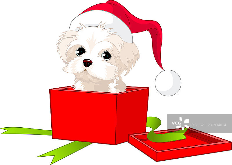 小狗礼物图片素材