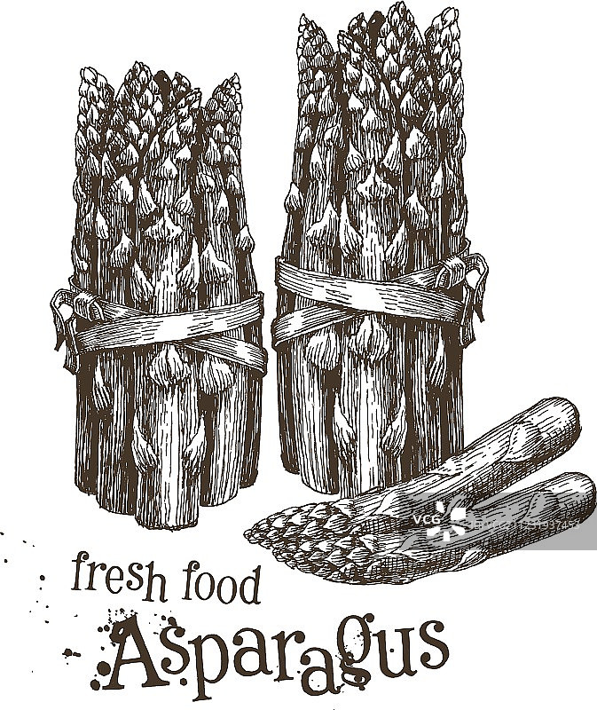 新鲜芦笋Logo设计模板图片素材