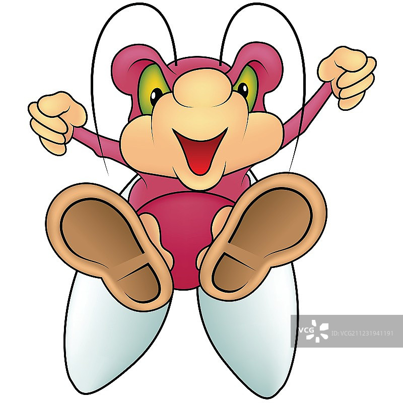 小家蝇图片素材