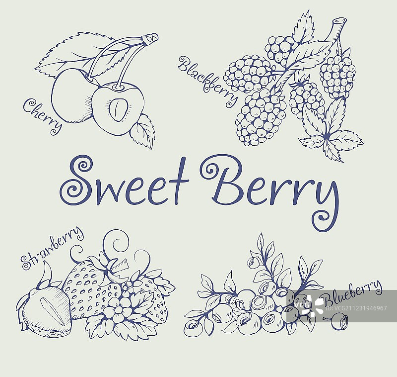 黑莓草莓蓝莓樱桃合集图片素材