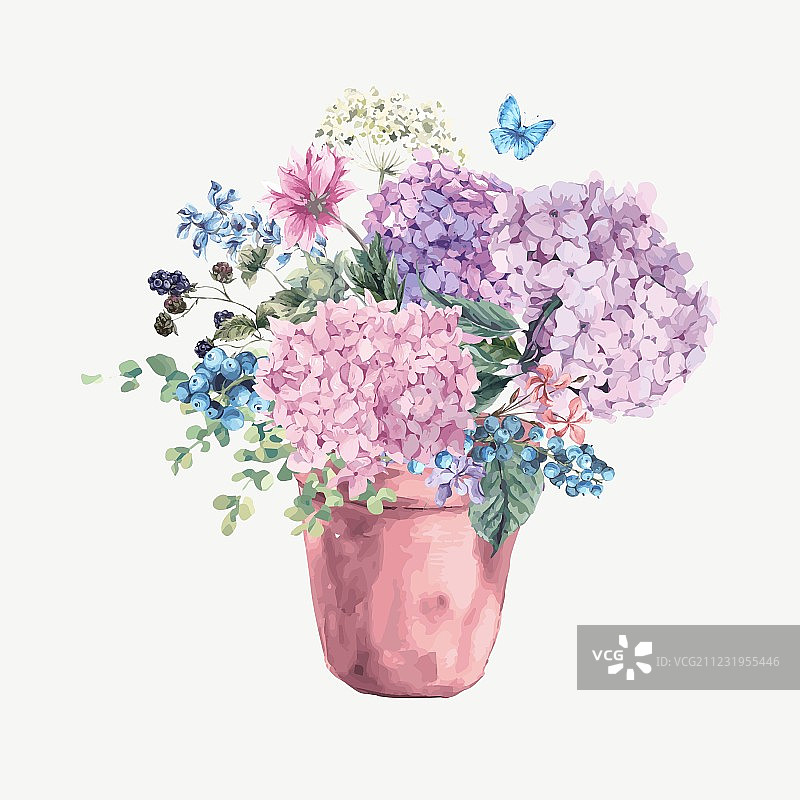 绣球花卉贺卡图片素材