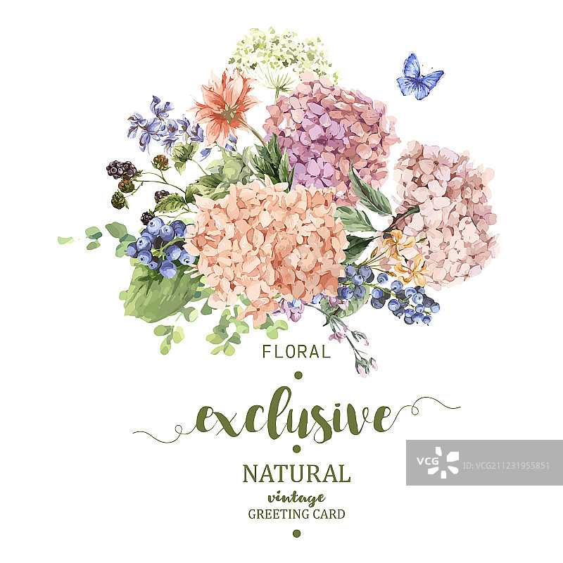 绣球花卉贺卡图片素材