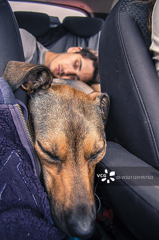 男子在车内与狗一起睡觉图片素材