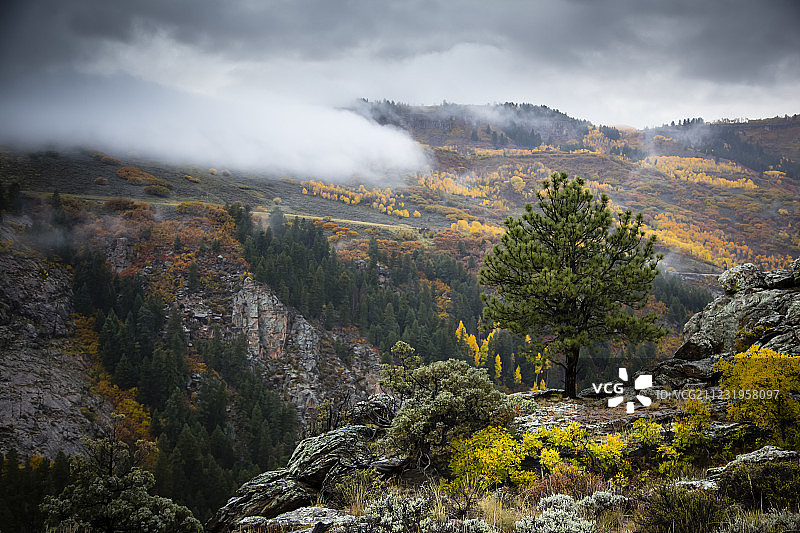 美国科罗拉多州 Gunnison 国家公园黑峡谷的秋季雾景图片素材